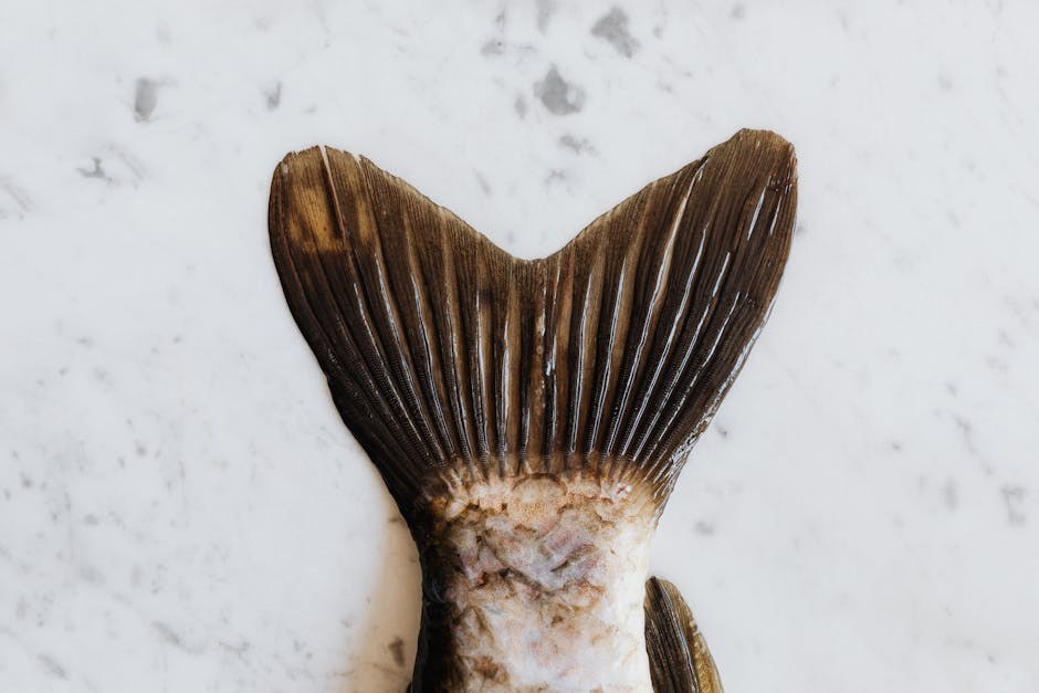 Normalno, mekano, vodenasto i drugo: što izmet vašeg psa govori