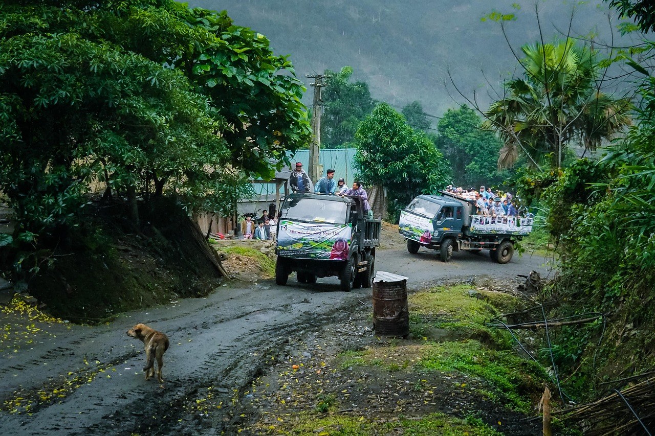 Smiju li psi uzimati dodatke vitamina D i jesu li sigurni?