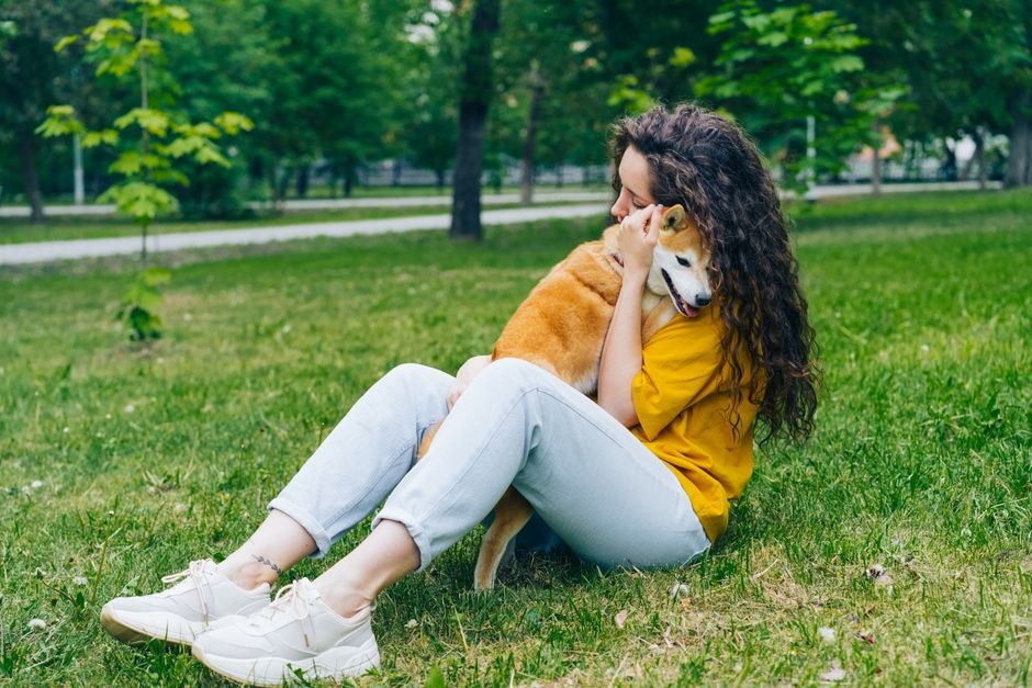 Konjunktivitis kod pasa: uzroci, simptomi i liječenje